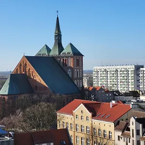Seagull Kołobrzeg